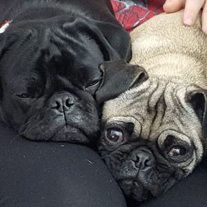 Meet your Posher, Michele